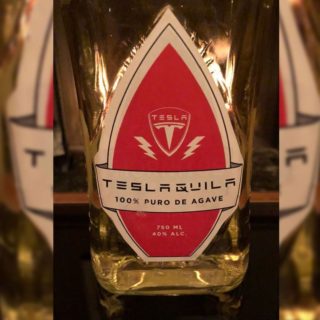 Elon Musk, Teslaquila